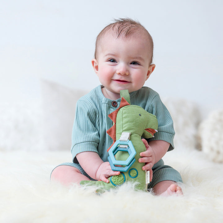 Itzy Ritzy Link & Love Plush Toy